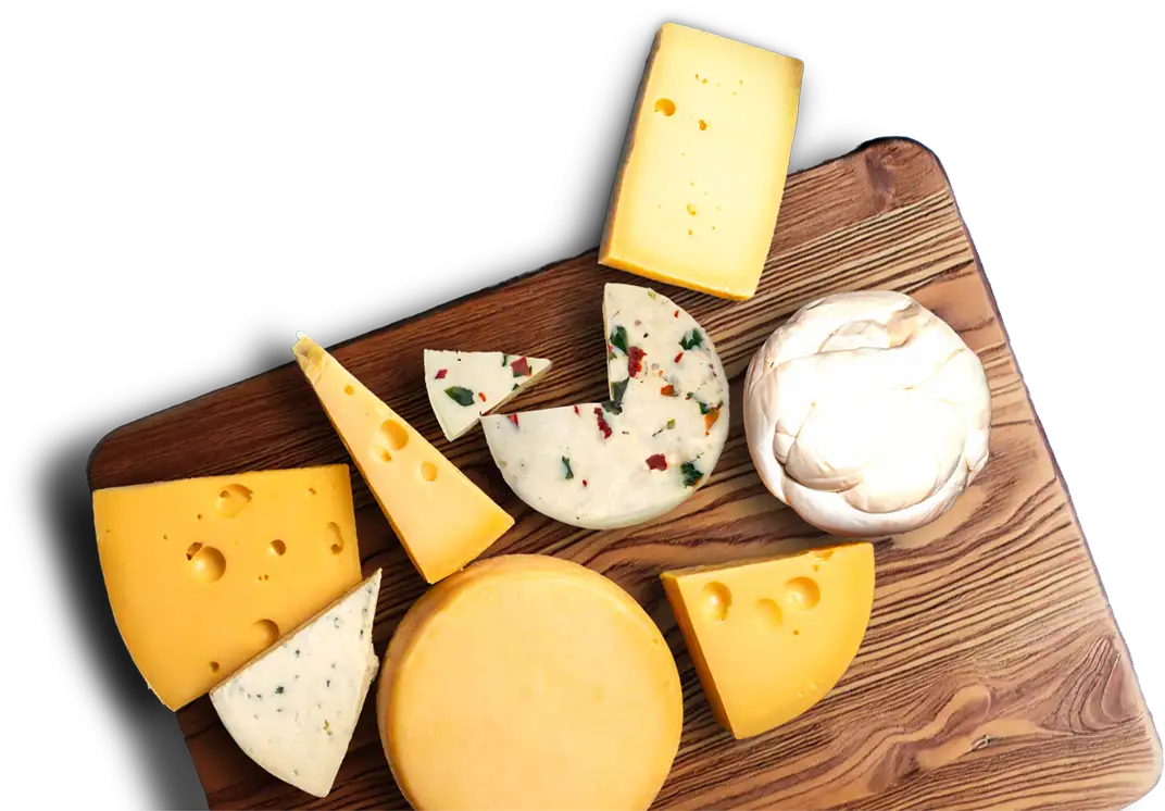 Forografía de quesos frescos, quesos semi maduros, quesos gourmet artesanal, quesos untables, carnes frias, carnes frias linea gourmet, lacteos, abarrotes